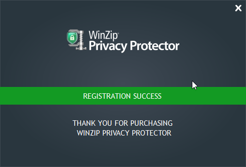 windows privacy protector